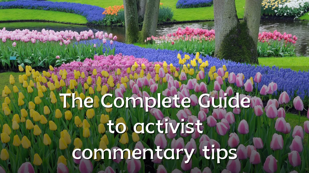 The Complete Guide to activist commentary tips