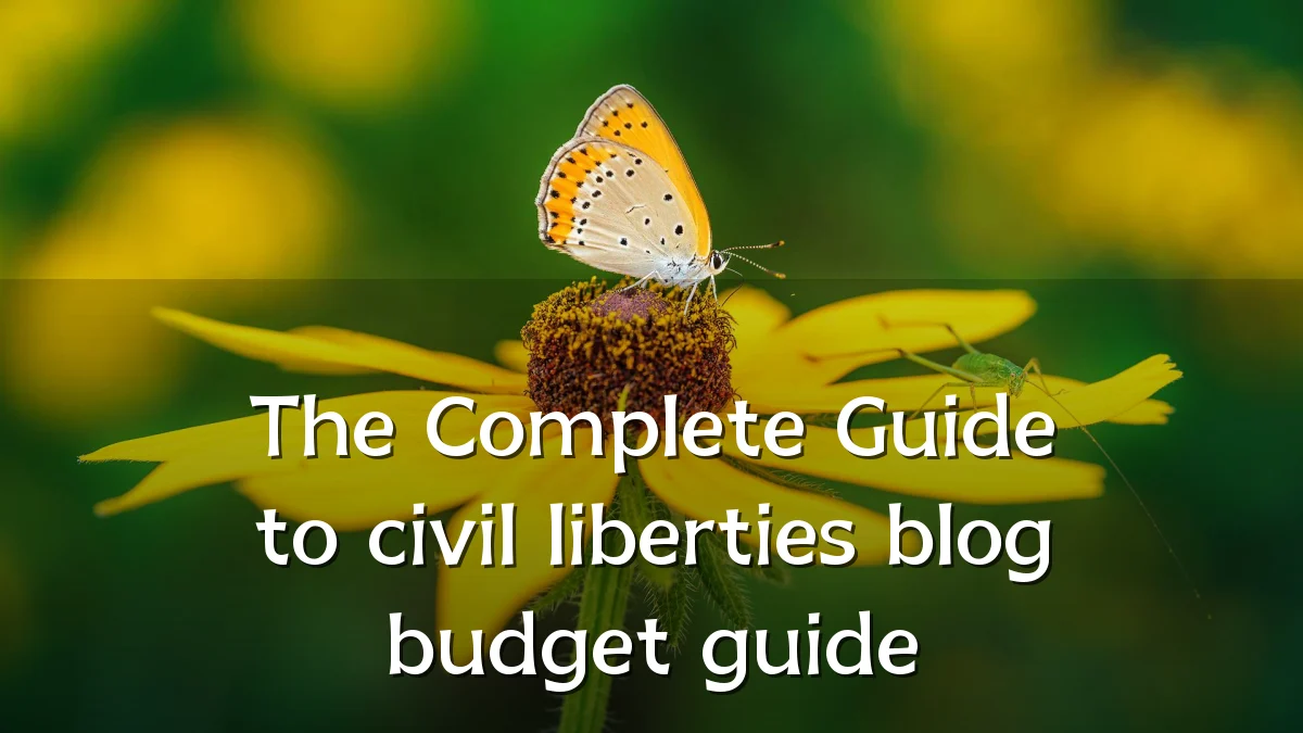 The Complete Guide to civil liberties blog budget guide