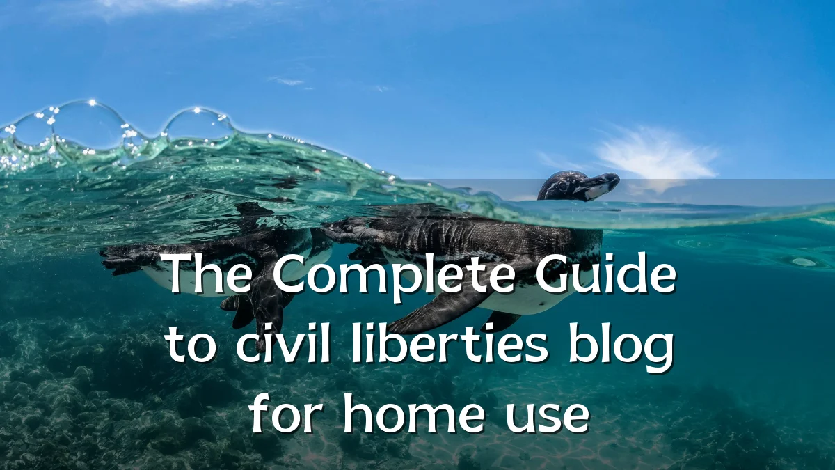 The Complete Guide to civil liberties blog for home use