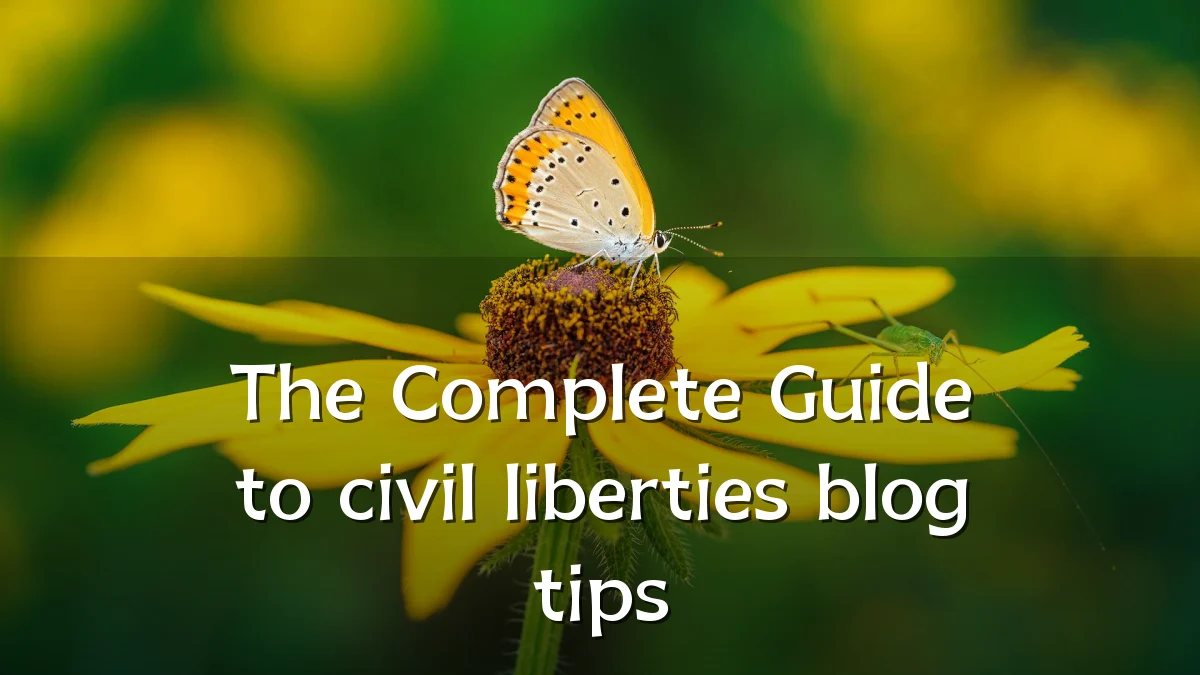 The Complete Guide to civil liberties blog tips