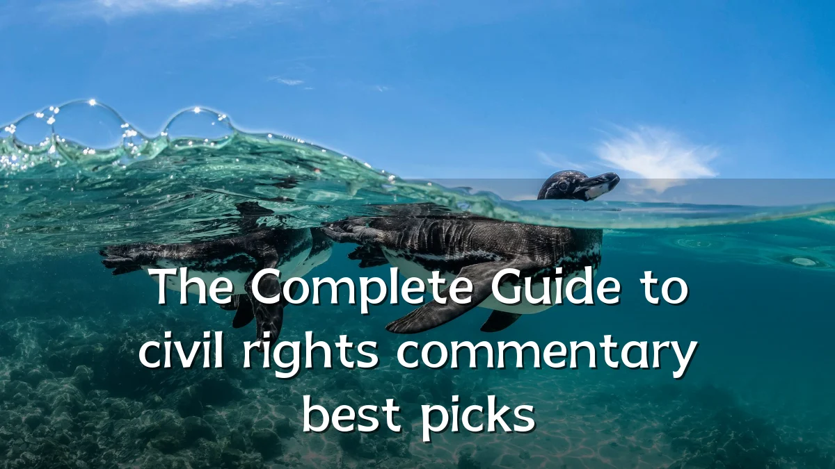 The Complete Guide to civil rights commentary best picks