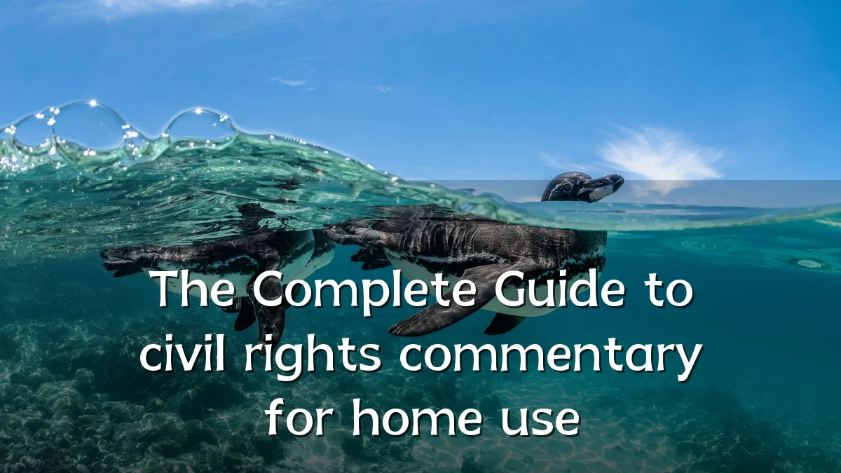 The Complete Guide to civil rights commentary for home use
