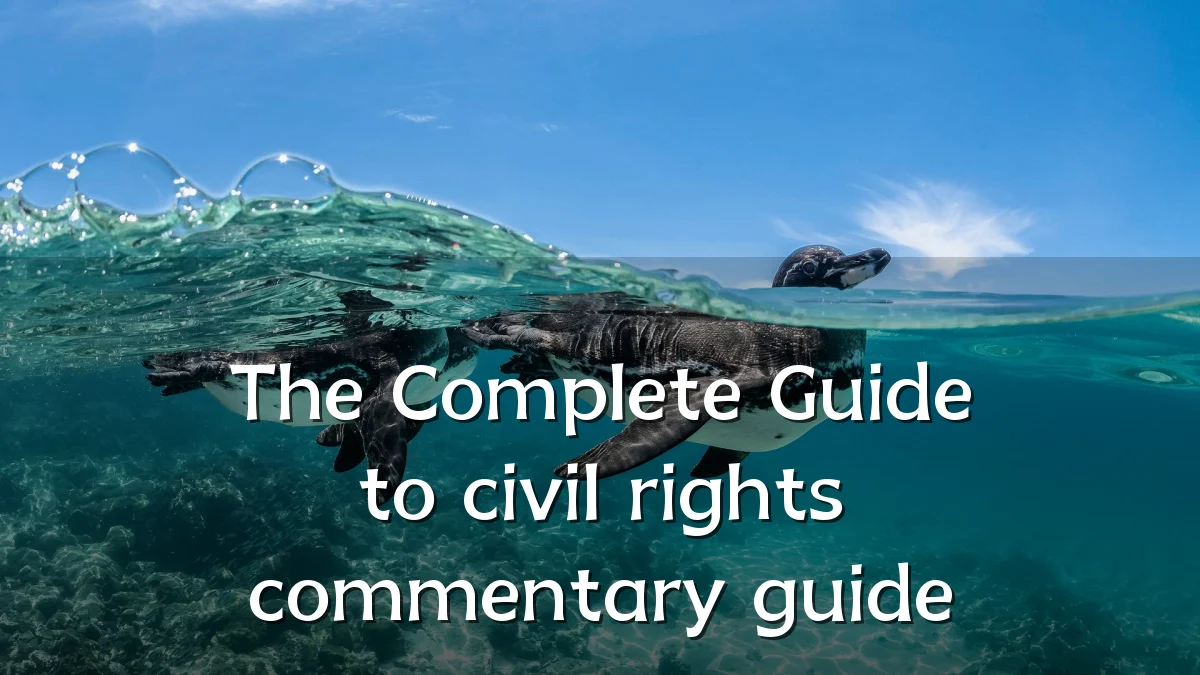 The Complete Guide to civil rights commentary guide