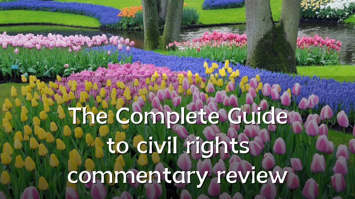The Complete Guide to civil rights commentary review