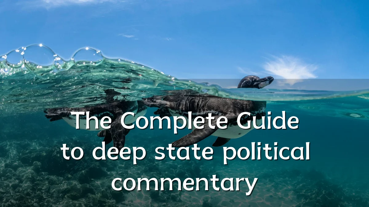 The Complete Guide to deep state political commentary