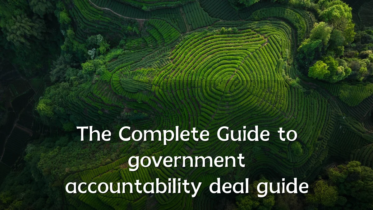 The Complete Guide to government accountability deal guide