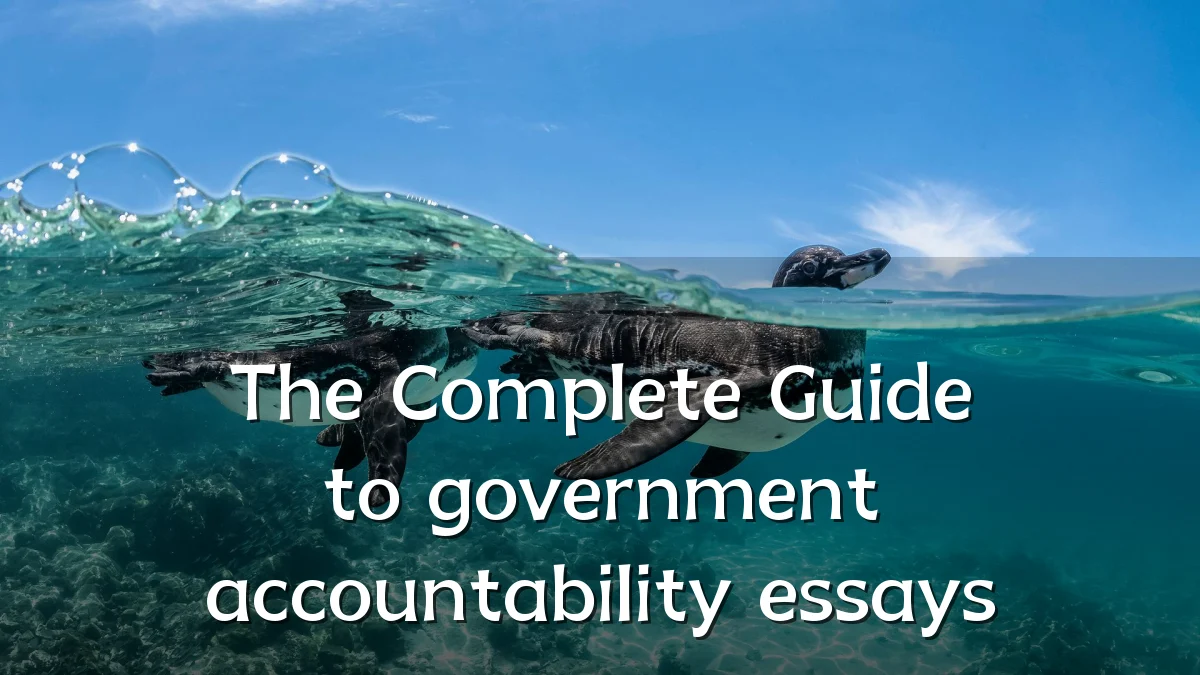 The Complete Guide to government accountability essays