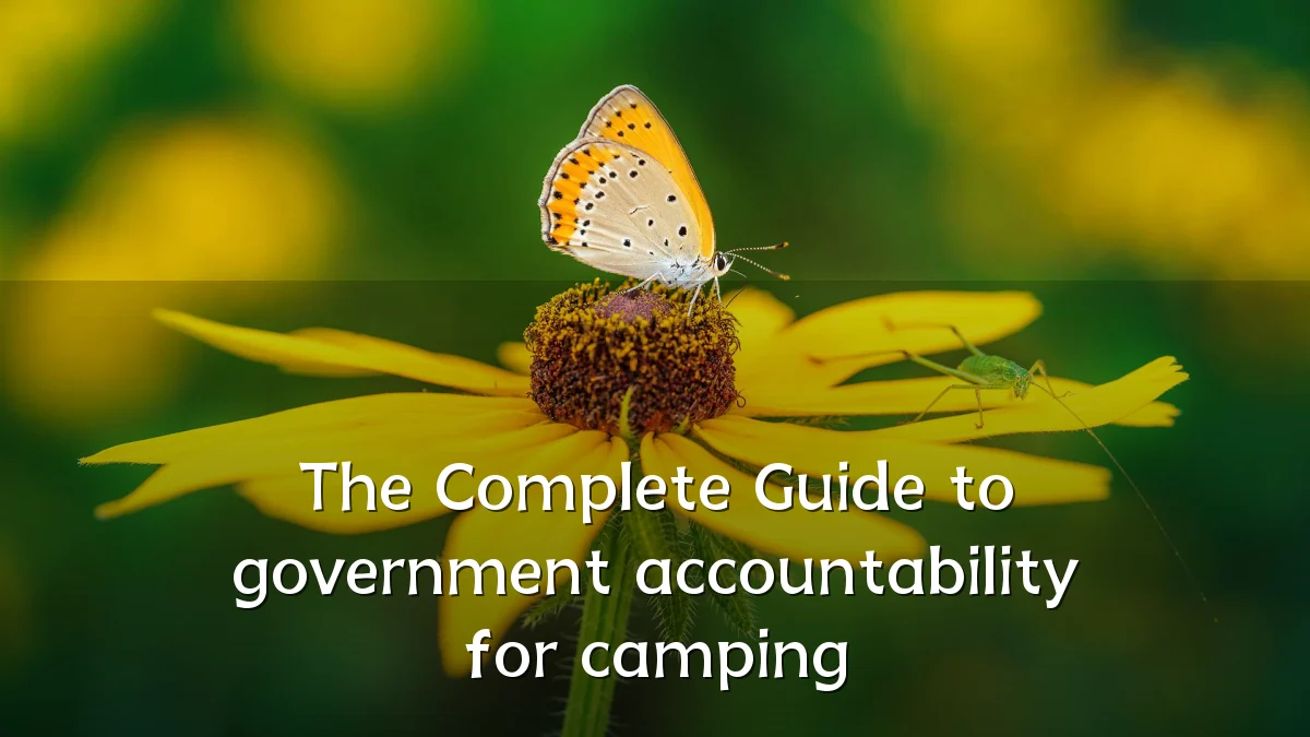 The Complete Guide to government accountability for camping