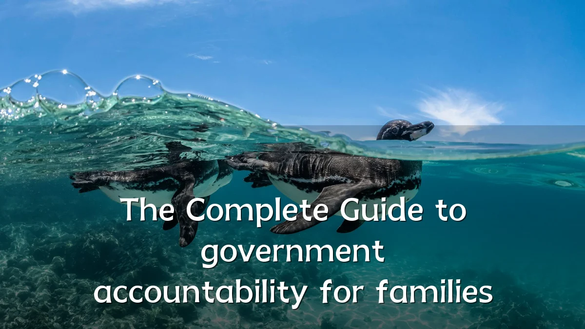 The Complete Guide to government accountability for families