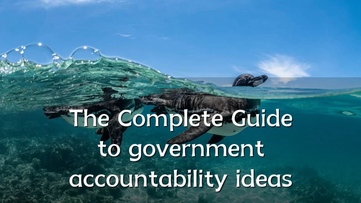 The Complete Guide to government accountability ideas