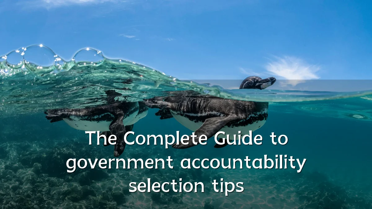 The Complete Guide to government accountability selection tips