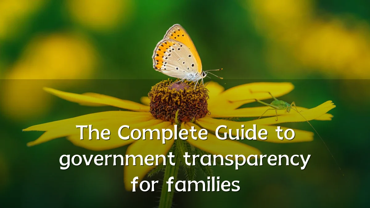 The Complete Guide to government transparency for families