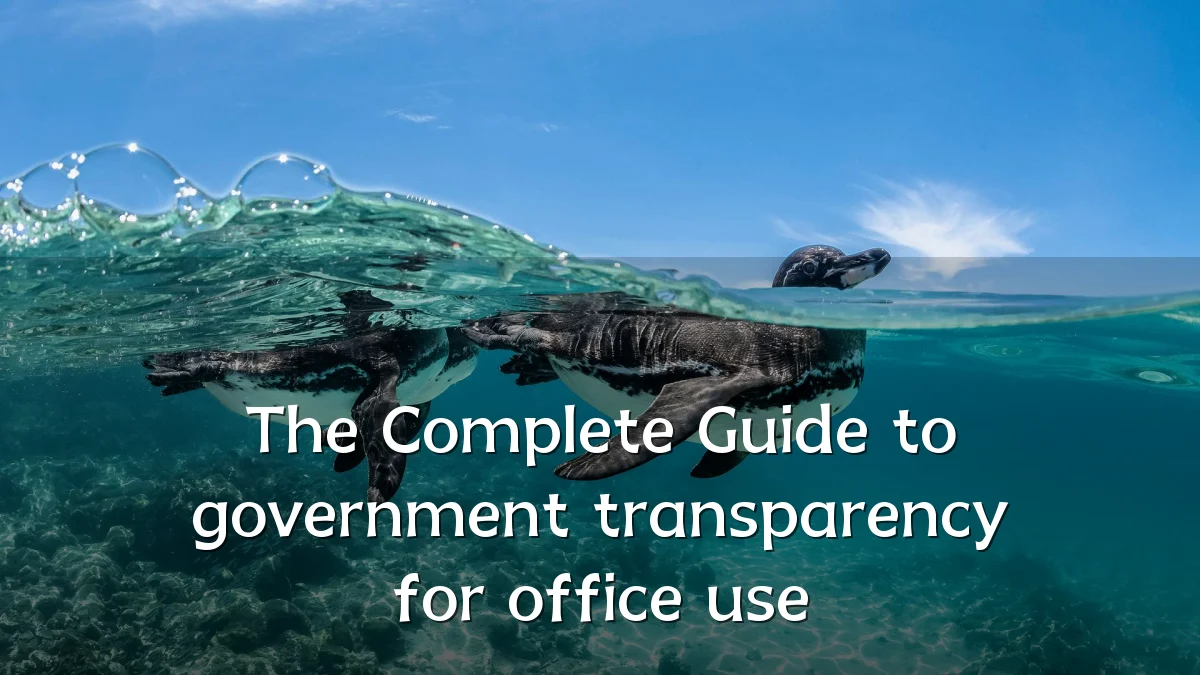 The Complete Guide to government transparency for office use