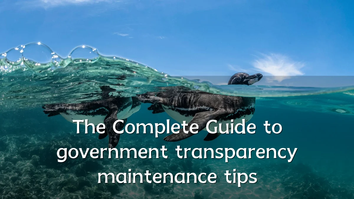 The Complete Guide to government transparency maintenance tips