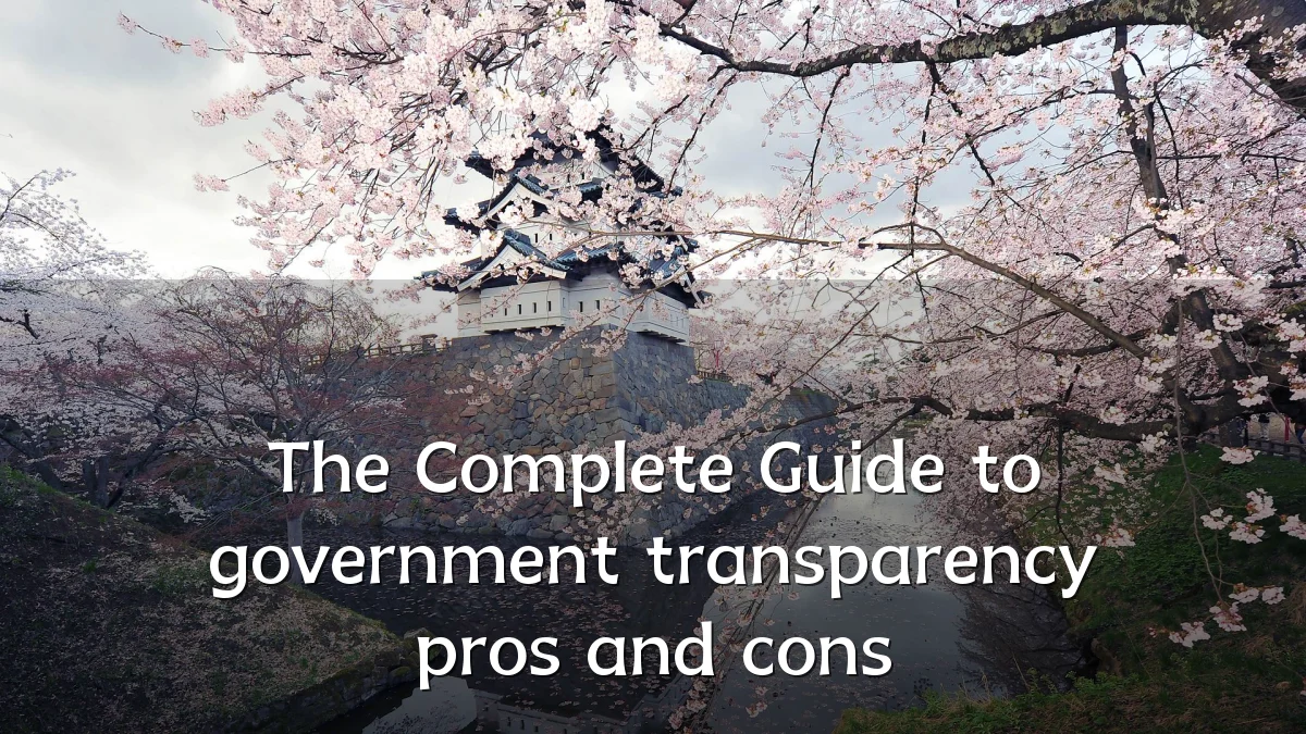 The Complete Guide to government transparency pros and cons