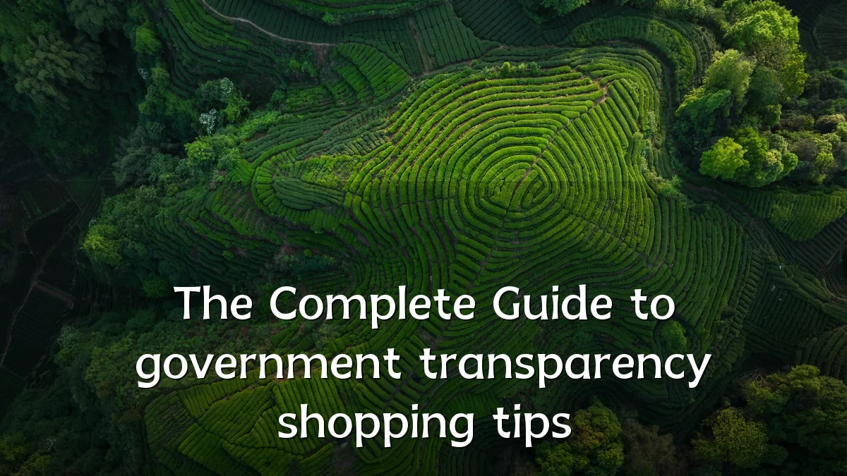 The Complete Guide to government transparency shopping tips
