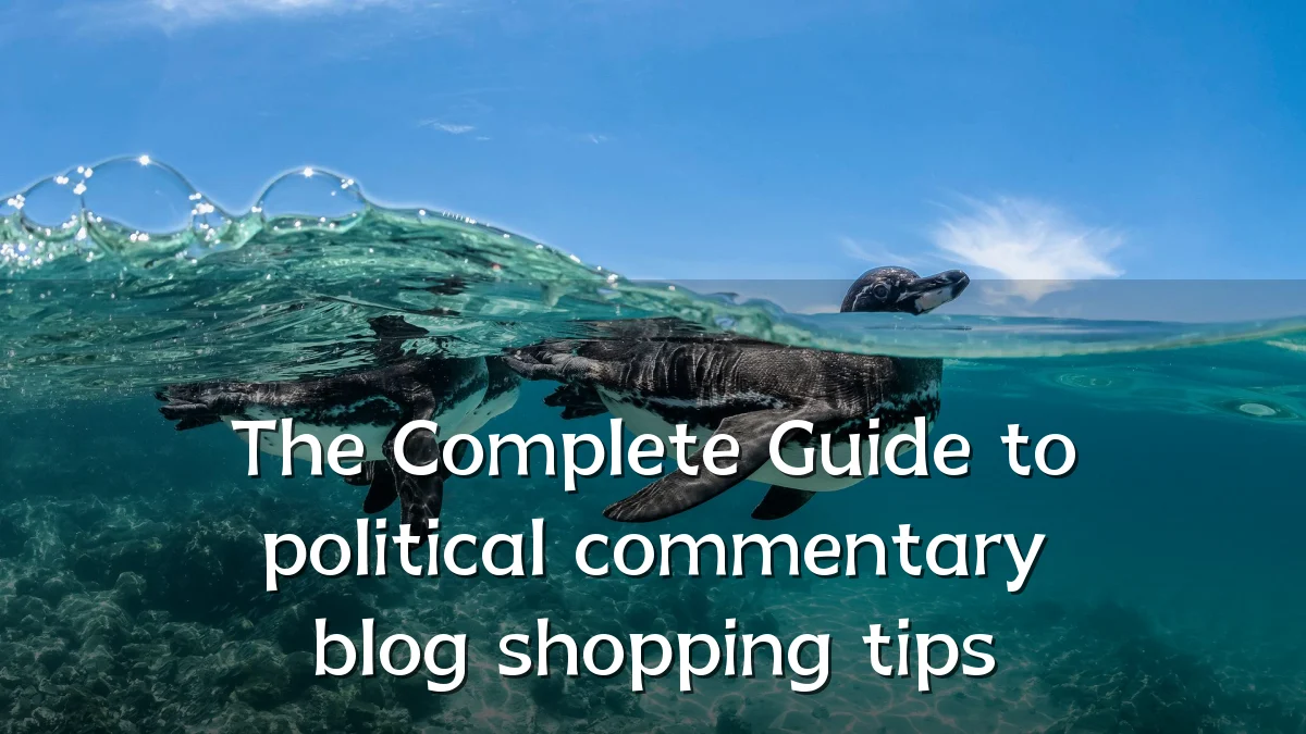 The Complete Guide to political commentary blog shopping tips