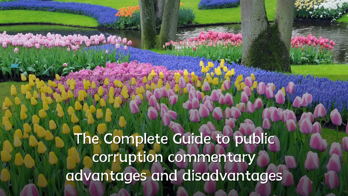 The Complete Guide to public corruption commentary advantages and disadvantages