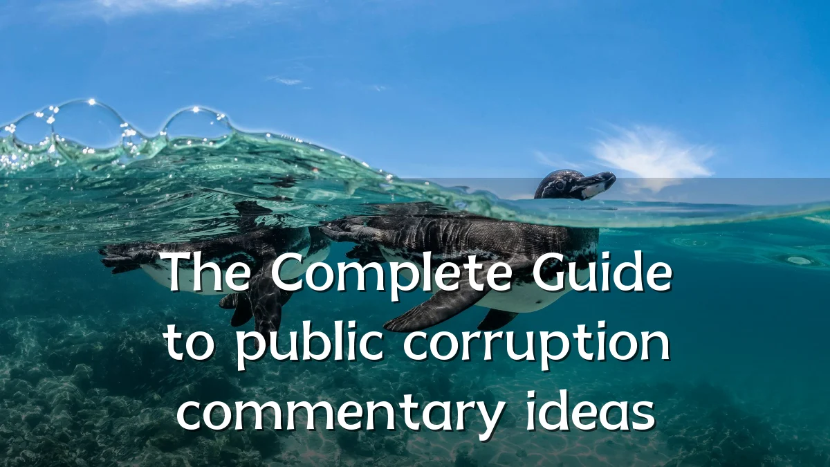 The Complete Guide to public corruption commentary ideas