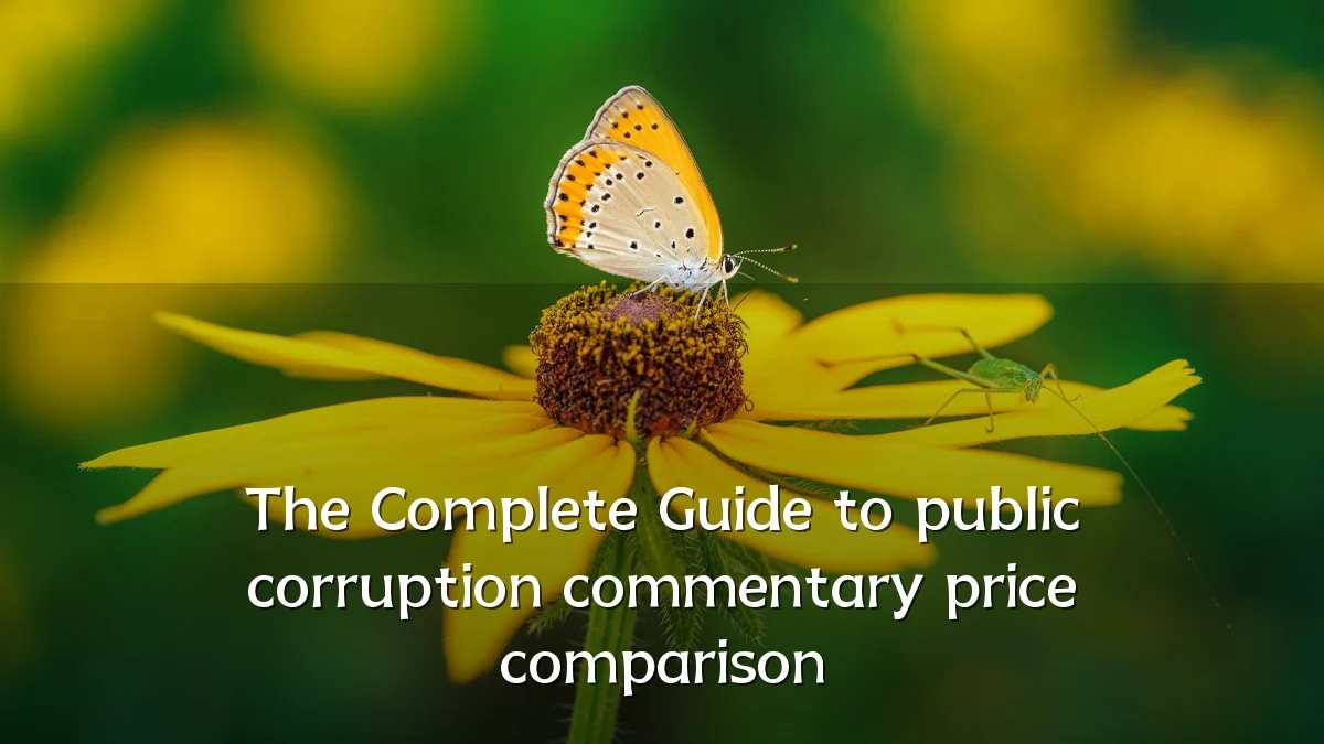 The Complete Guide to public corruption commentary price comparison
