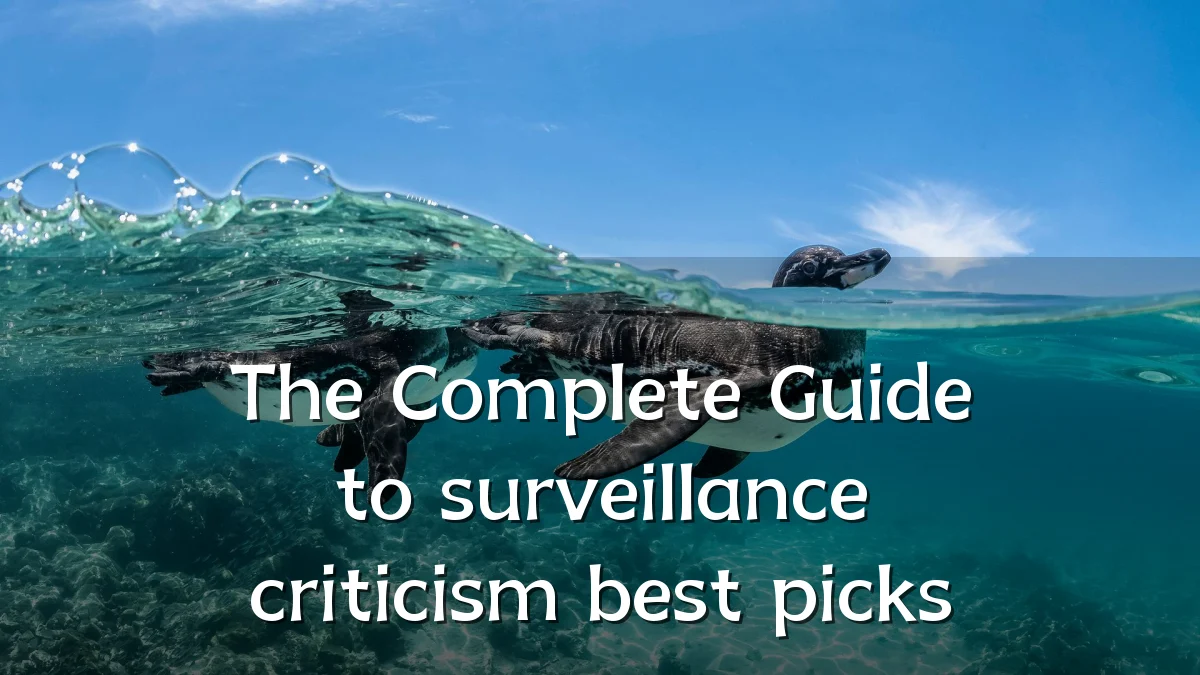 The Complete Guide to surveillance criticism best picks
