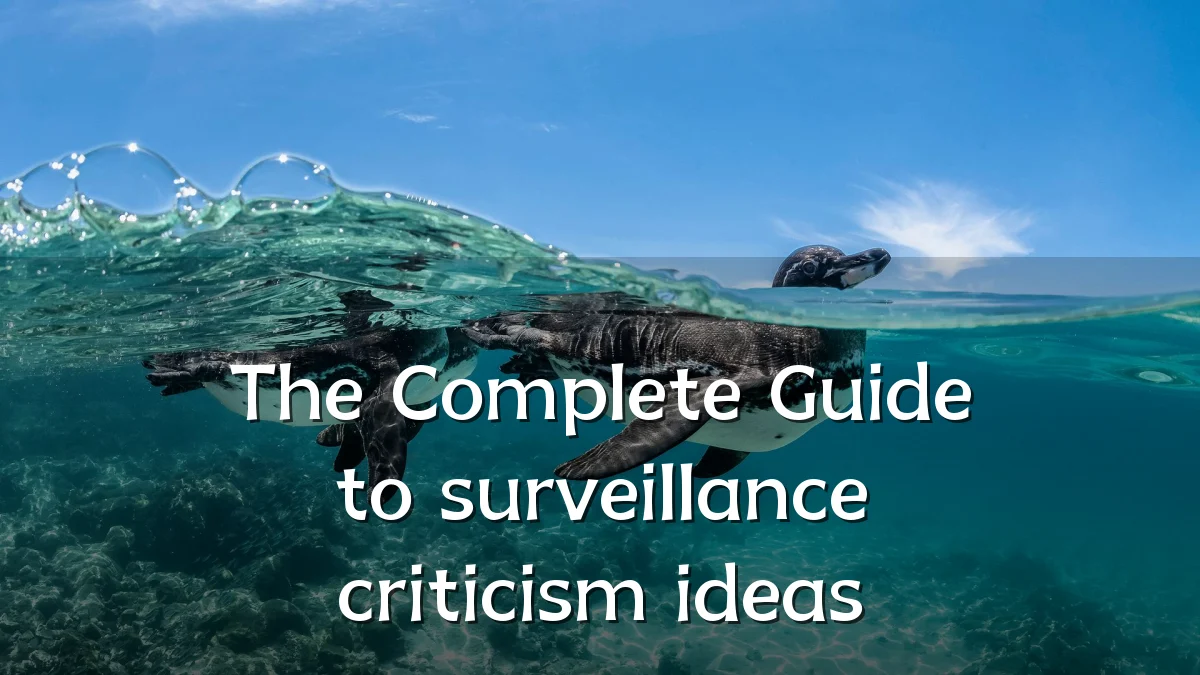The Complete Guide to surveillance criticism ideas