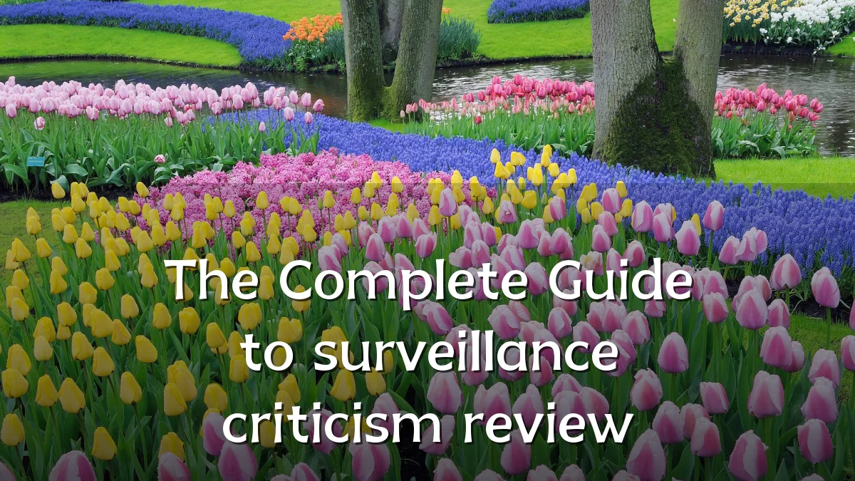 The Complete Guide to surveillance criticism review