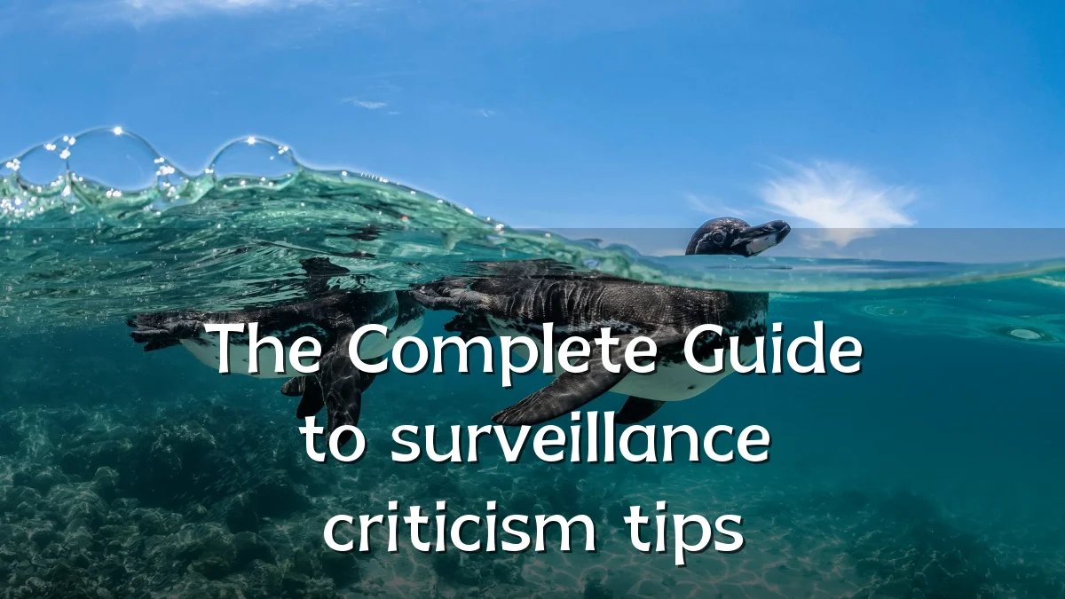 The Complete Guide to surveillance criticism tips