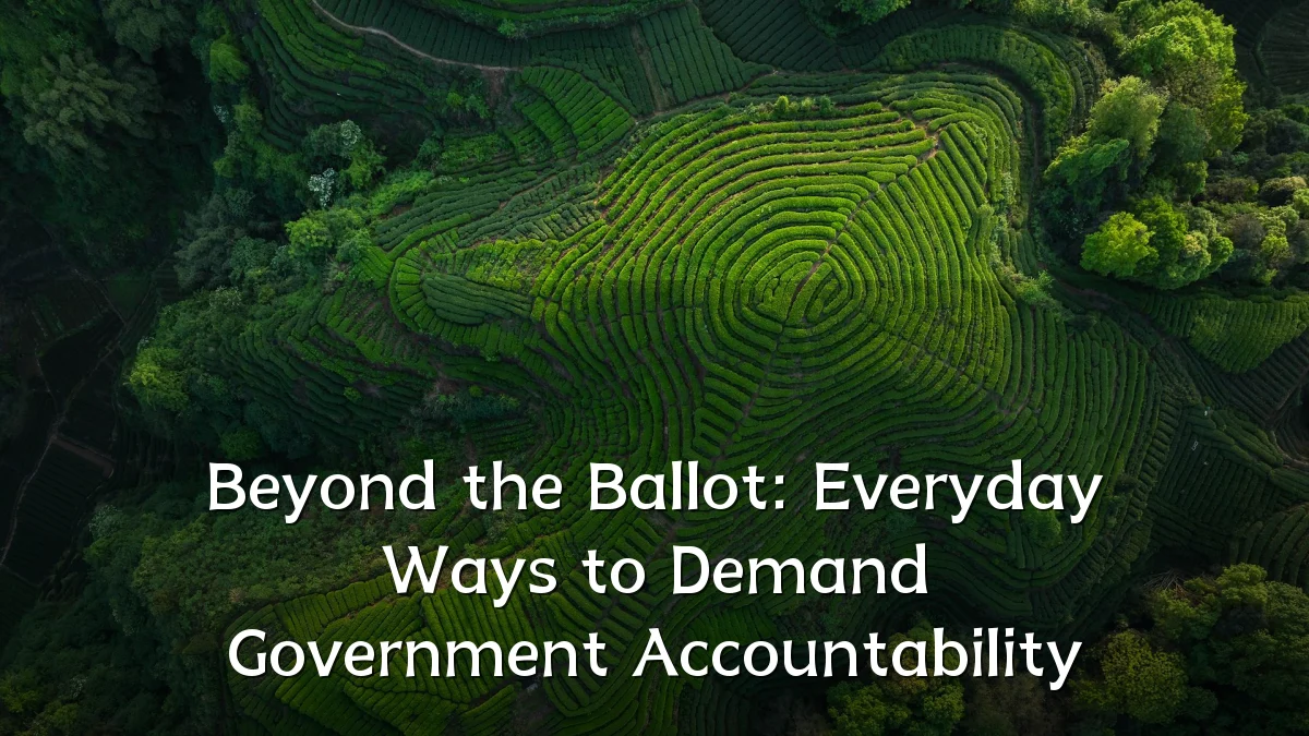 Beyond the Ballot: Everyday Ways to Demand Government Accountability