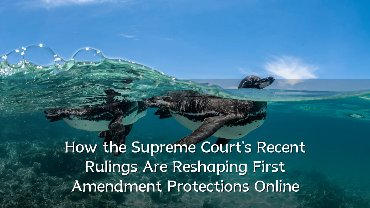 How the Supreme Court's Recent Rulings Are Reshaping First Amendment Protections Online