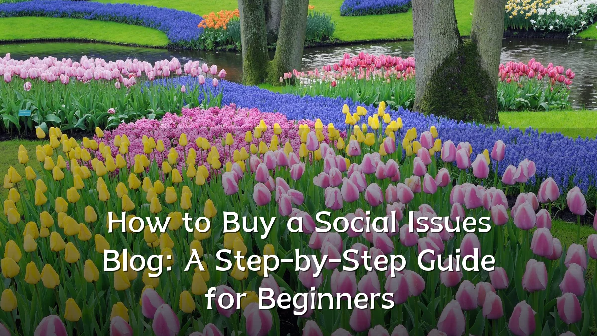 How to Buy a Social Issues Blog: A Step-by-Step Guide for Beginners