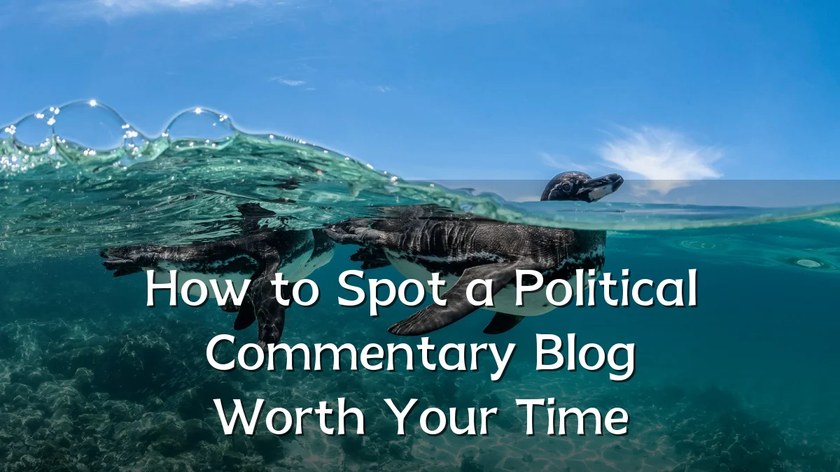 How to Spot a Political Commentary Blog Worth Your Time