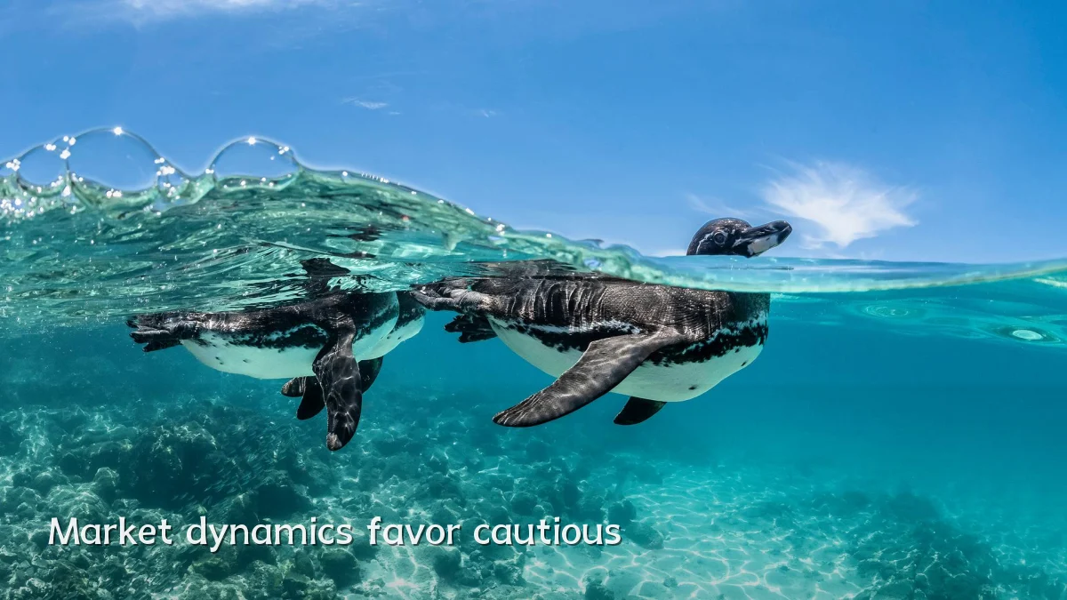 Market dynamics favor cautious