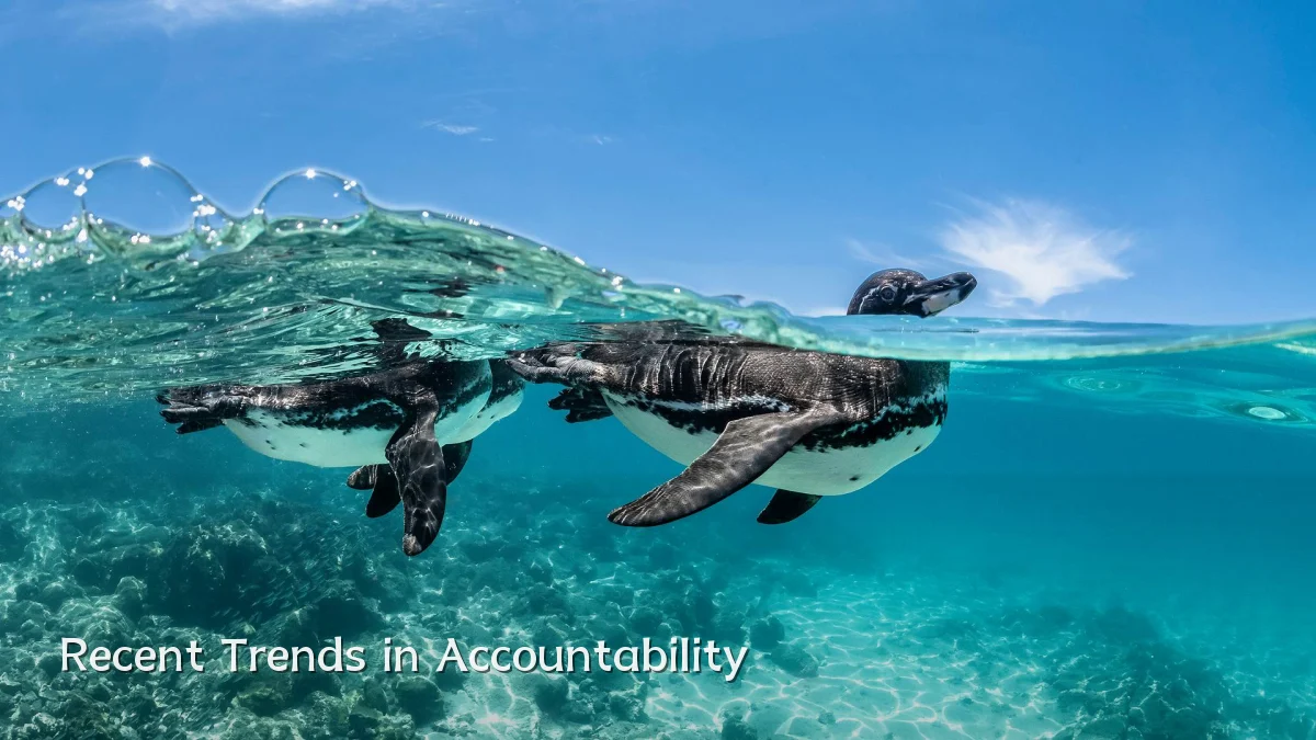 Recent Trends in Accountability