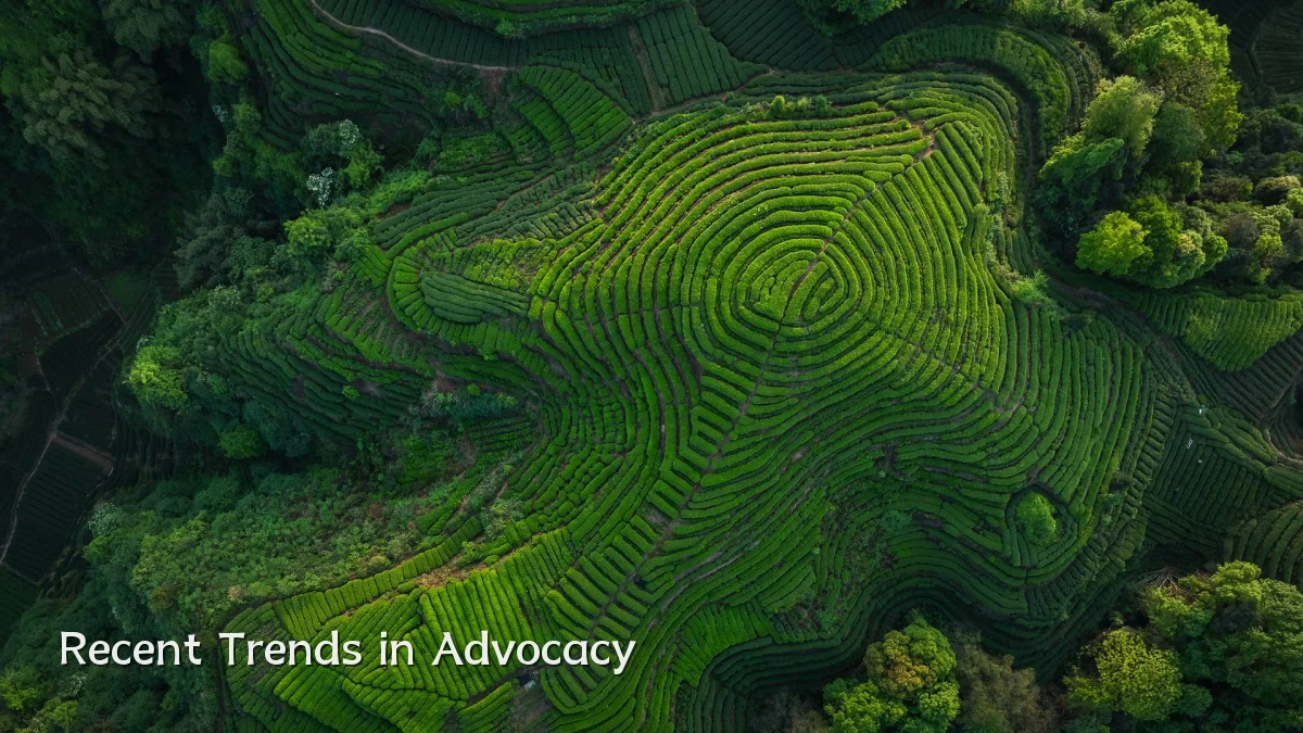 Recent Trends in Advocacy
