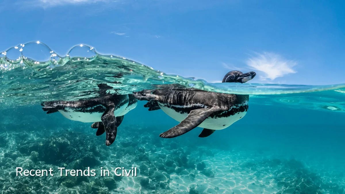 Recent Trends in Civil