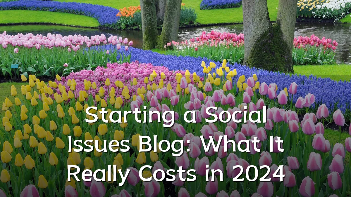 Starting a Social Issues Blog: What It Really Costs in 2024