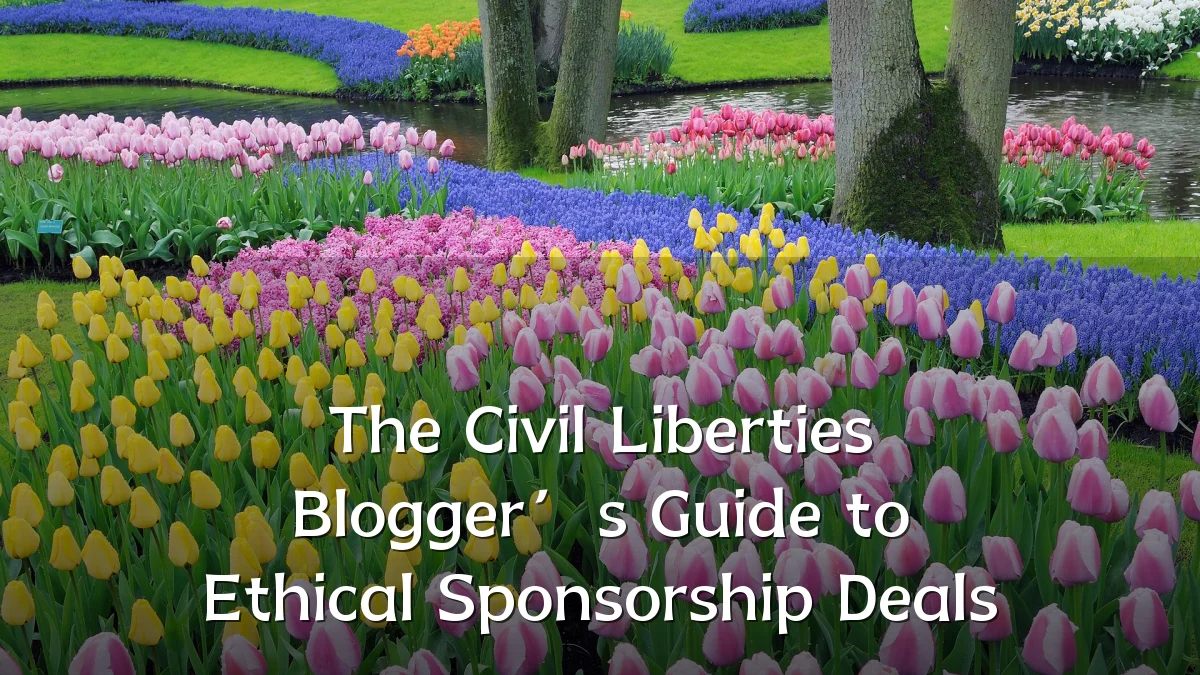 The Civil Liberties Blogger’s Guide to Ethical Sponsorship Deals