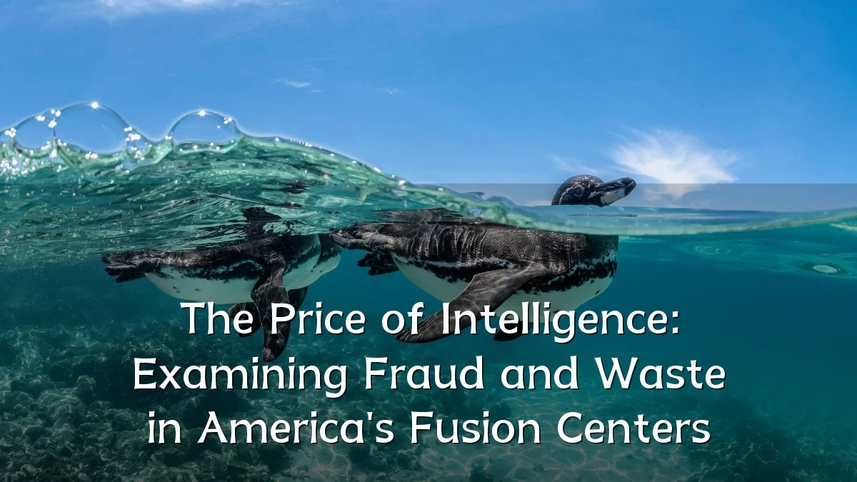 The Price of Intelligence: Examining Fraud and Waste in America's Fusion Centers