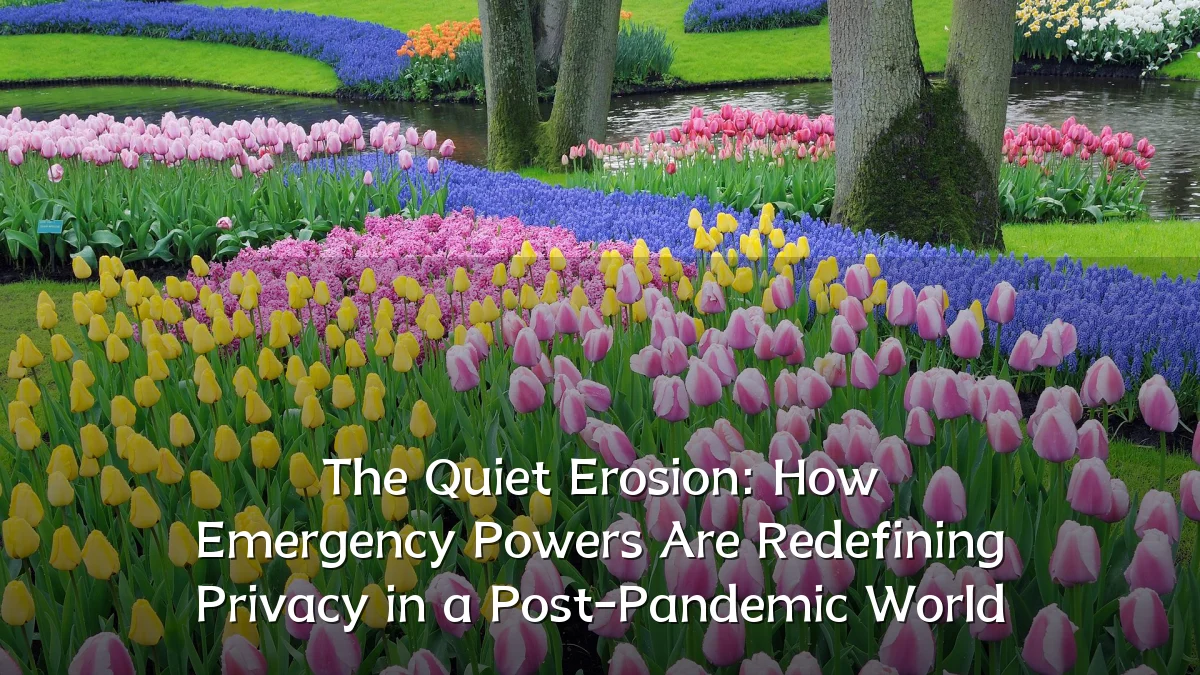 The Quiet Erosion: How Emergency Powers Are Redefining Privacy in a Post-Pandemic World