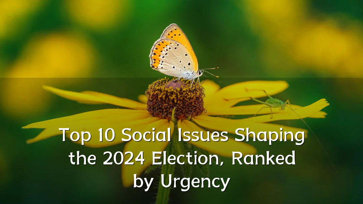 Top 10 Social Issues Shaping the 2024 Election, Ranked by Urgency