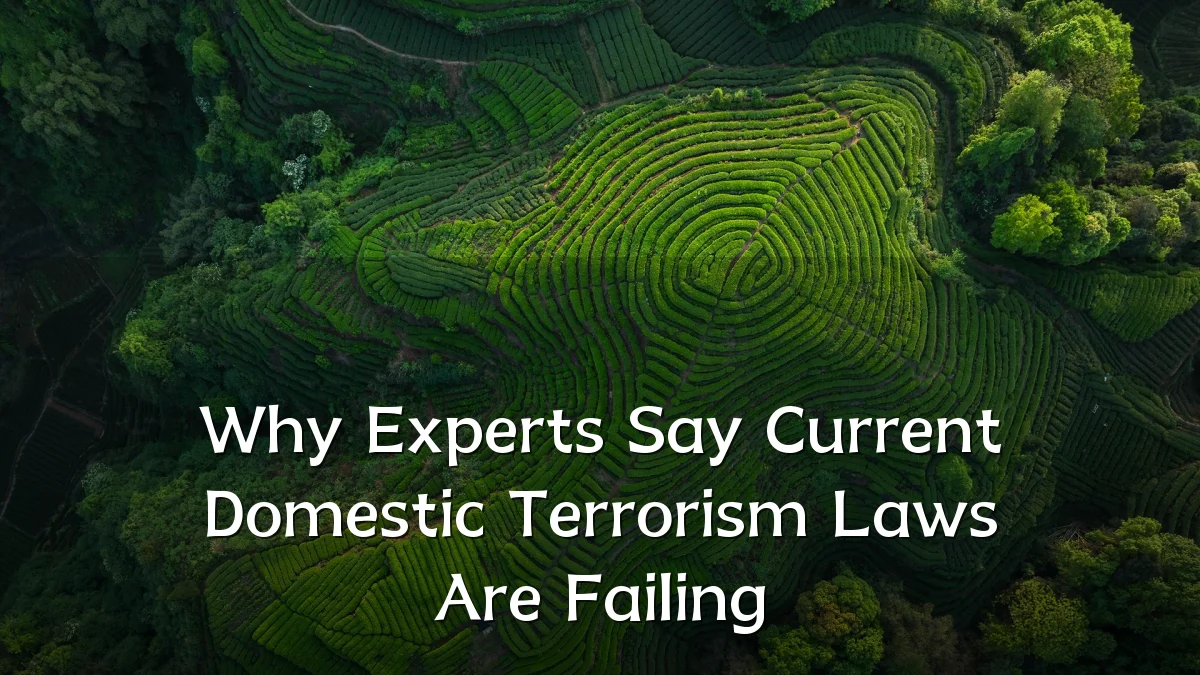 Why Experts Say Current Domestic Terrorism Laws Are Failing