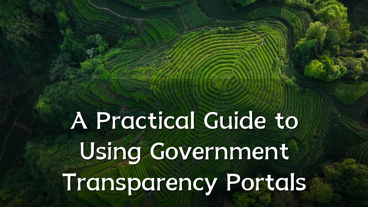 A Practical Guide to Using Government Transparency Portals