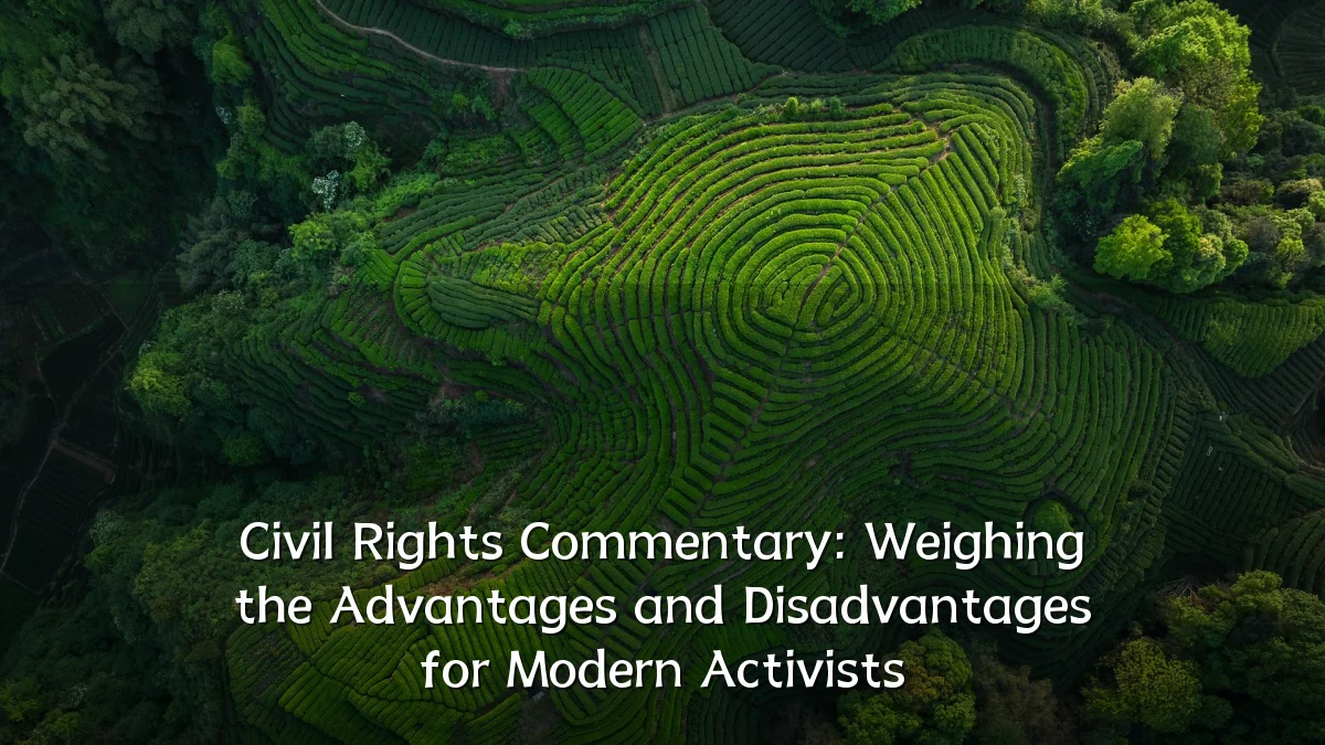 Civil Rights Commentary: Weighing the Advantages and Disadvantages for Modern Activists