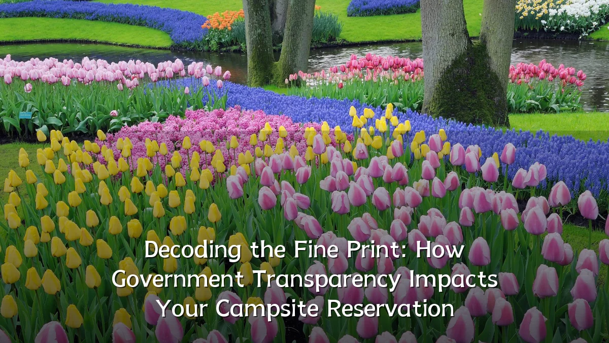 Decoding the Fine Print: How Government Transparency Impacts Your Campsite Reservation