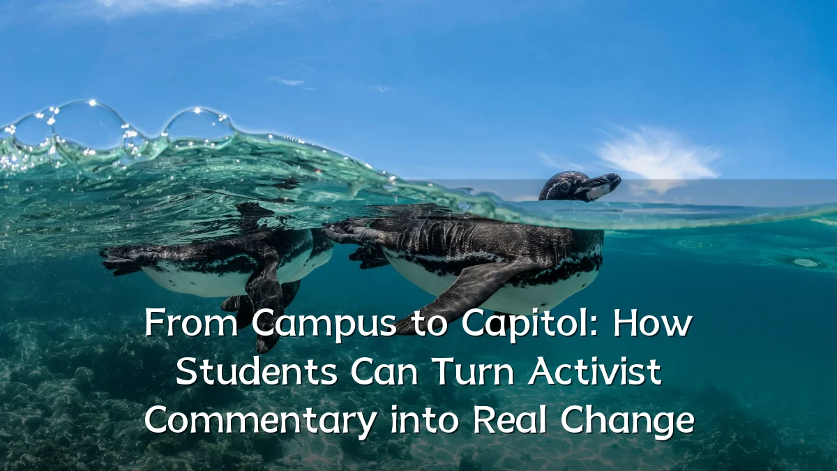 From Campus to Capitol: How Students Can Turn Activist Commentary into Real Change