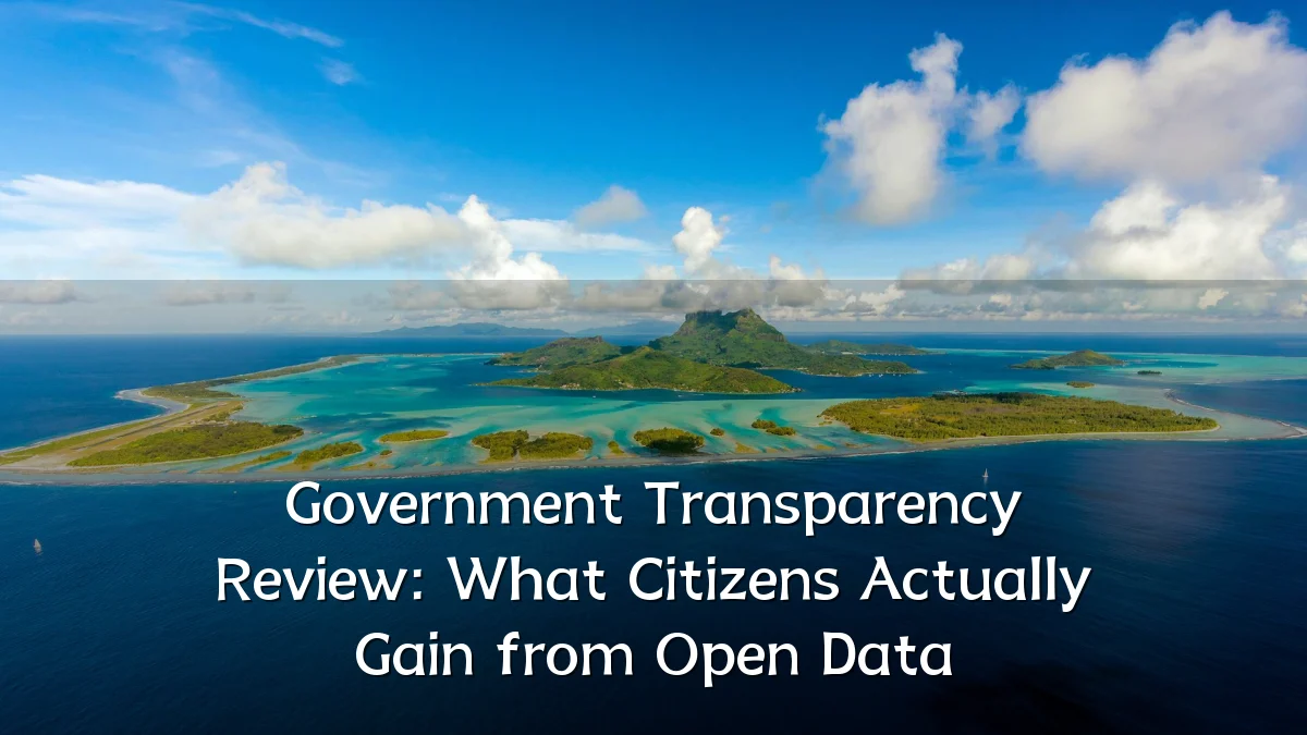 Government Transparency Review: What Citizens Actually Gain from Open Data