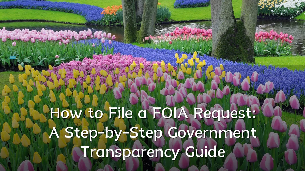 How to File a FOIA Request: A Step-by-Step Government Transparency Guide