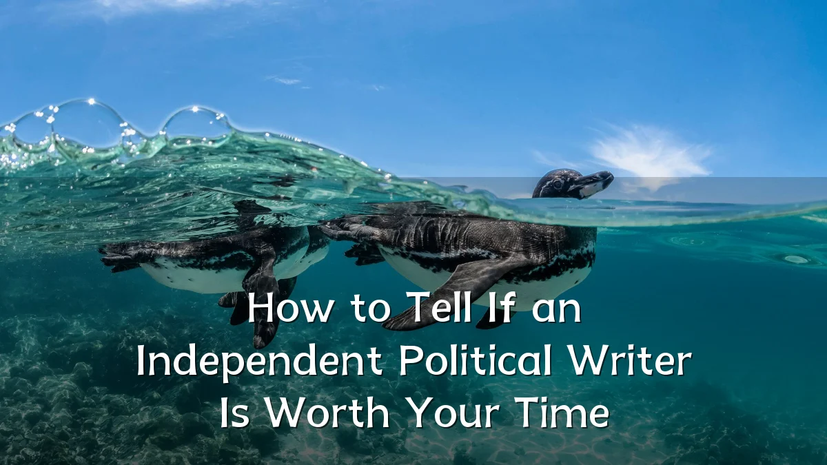 How to Tell If an Independent Political Writer Is Worth Your Time