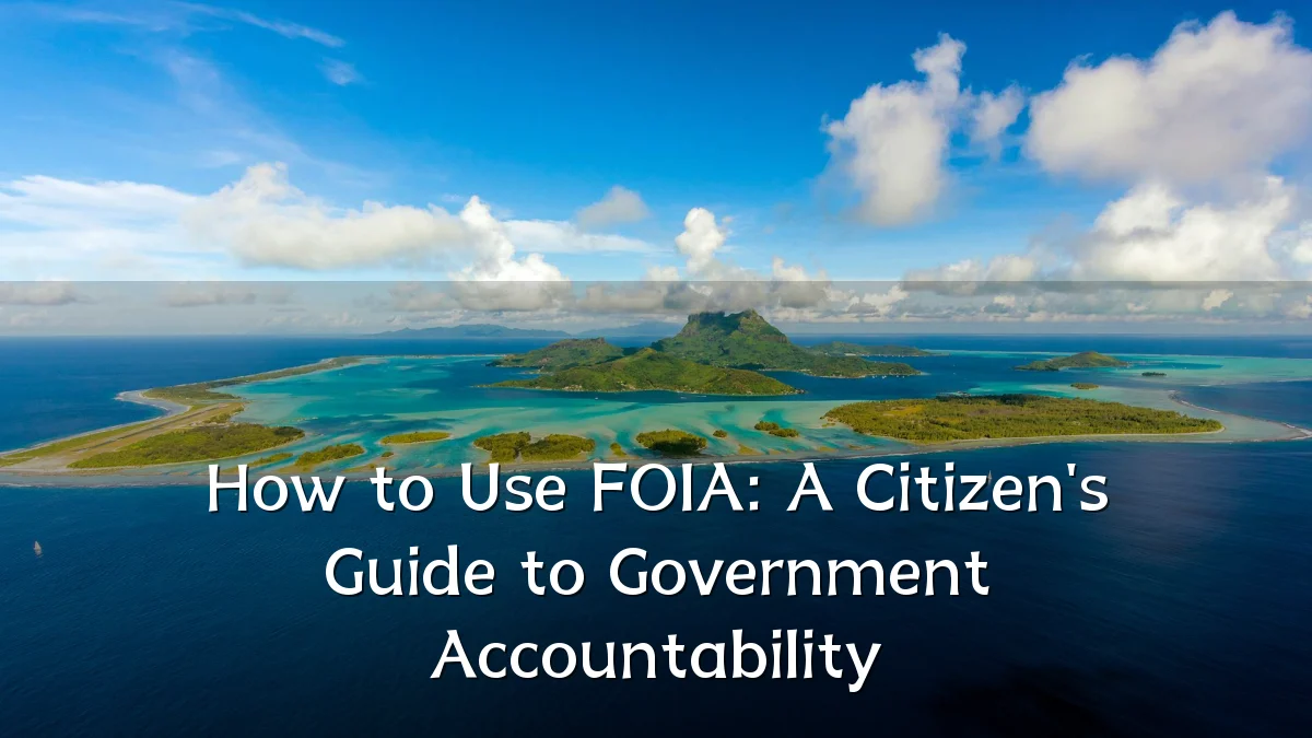 How to Use FOIA: A Citizen's Guide to Government Accountability
